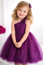 IMG_2490.webp