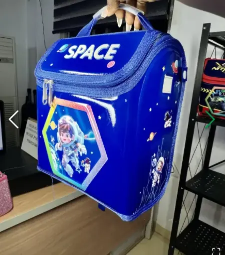  LUNCH BAGS